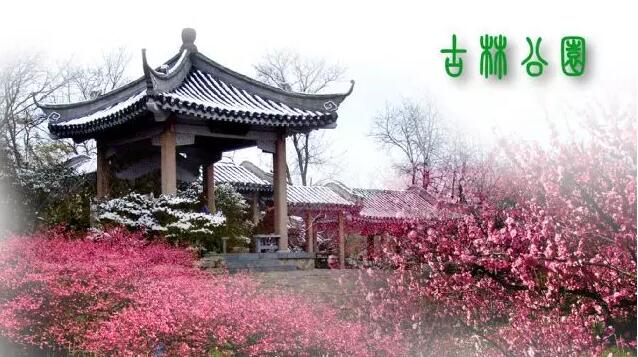 <b>【南京三門灣電器】周日4.24古林公園賞牡丹花、</b>